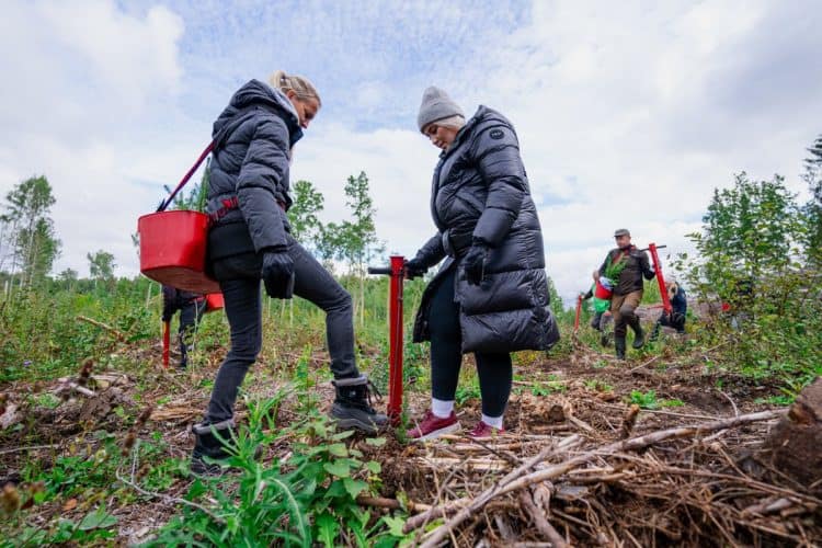Foto: Risto Pirnpuu/Masinawärk