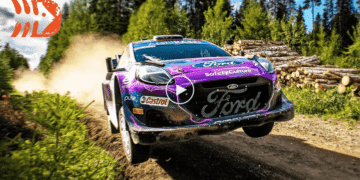 VIDEO: Best of WRC 2022 | Crashes, Action, Maximum Attack