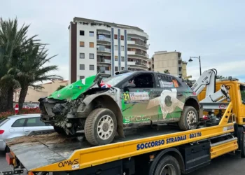 Gus Greensmithi ja Jonas Anderssoni Škoda Sardiinia rallil Autor/allikas: Twitter/DirtFishRally