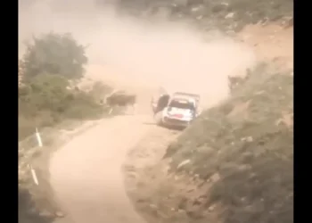 VIDEO: Vaata kuidas Kalle Rovanperä Sardiinia rallil lehmale otsa sõitis!