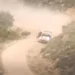 VIDEO: Vaata kuidas Kalle Rovanperä Sardiinia rallil lehmale otsa sõitis!