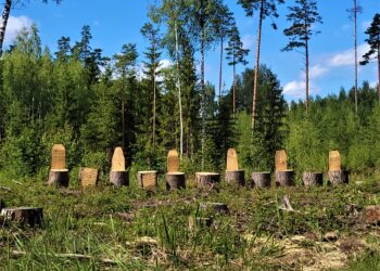 Rally Estonia kiiruskatse ääres olevad istekohad Foto: Igmar Matto/ralli.ee