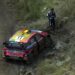 Allikas Rally.tv