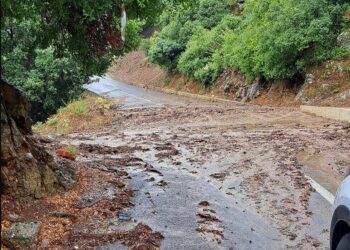 Foto: Priit Hiiesalu