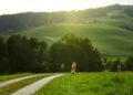 Central European Rally 2023 / Foto:: Toyota Gazoo Racing WRT