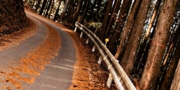 Jaapani ralli 2023 Foto: M-Sport