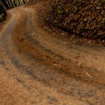 Jaapani ralli 2023 Foto: M-Sport