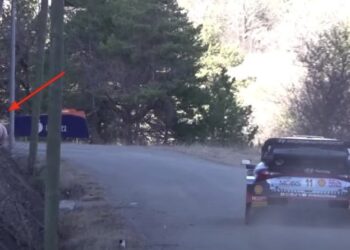 Foto: Twitter / @paddocknews