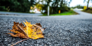 Foto autor: M-Sport Ford WRT