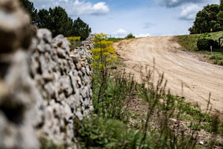 Foto: Honza Fronek, Rally-Mania