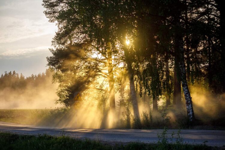 Mad-Croc Länsirannikon ralli avapäeva parimad eestlased olid Egon Kaur ja Allan Birjukov – FOTOGALERII