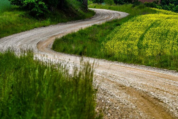PILDID: Vaata mis ootab Ott Tänakut ja teisi sõitjaid ees Poola MM-rallil