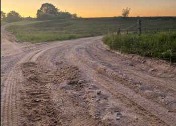 Foto: Valmar Viisel @paddocknews