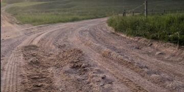 Foto: Valmar Viisel @paddocknews