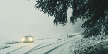 Photo by Cristofer Maximilian on Unsplash