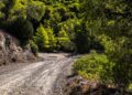 Kreeka MM-ralli 2024, Foto: M-Sport