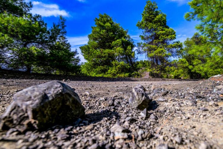 Kreeka MM-ralli 2024, Foto: M-Sport