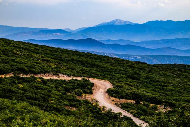 Kreeka MM-ralli 2024, Foto: M-Sport