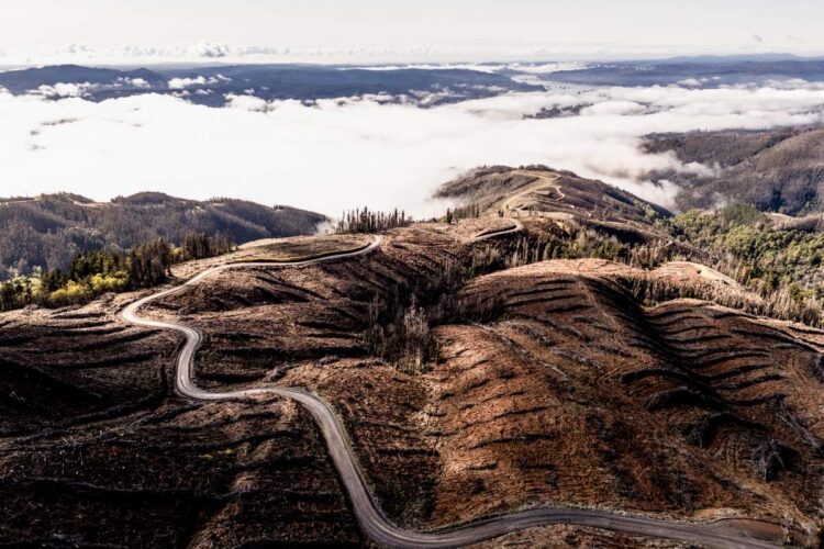 Tšiili MM-ralli 2024, Foto: M-Sport