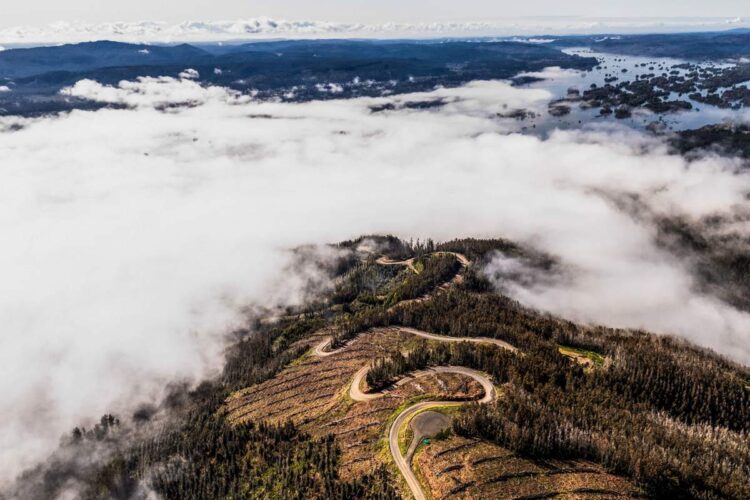 Tšiili MM-ralli 2024, Foto: M-Sport