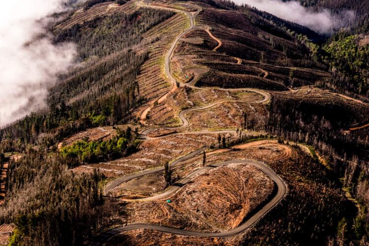 Tšiili MM-ralli 2024, Foto: M-Sport