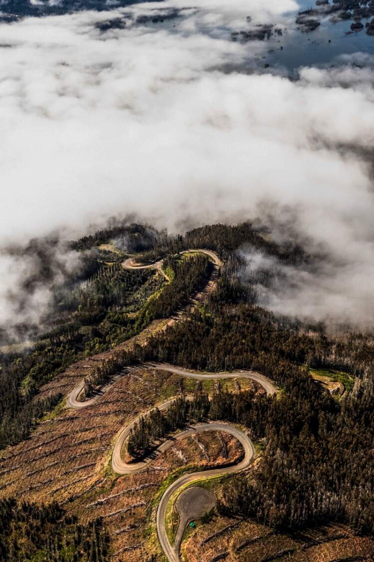 Tšiili MM-ralli 2024, Foto: M-Sport
