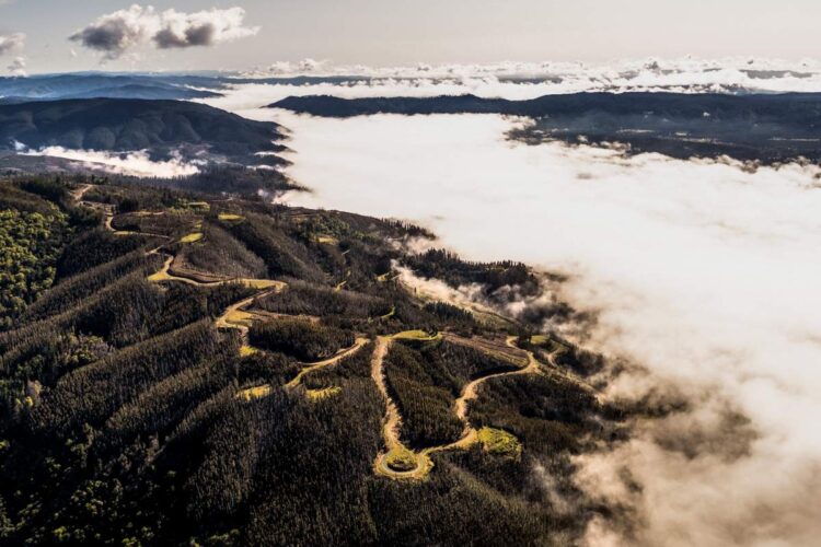 Tšiili MM-ralli 2024, Foto: M-Sport