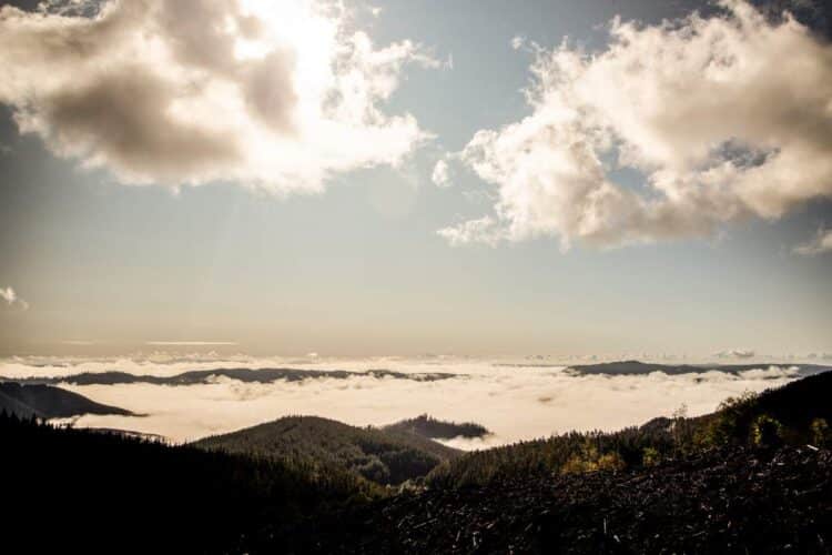 Tšiili MM-ralli 2024, Foto: M-Sport