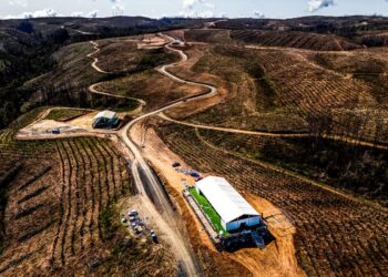 Tšiili MM-ralli 2024, Foto: M-Sport