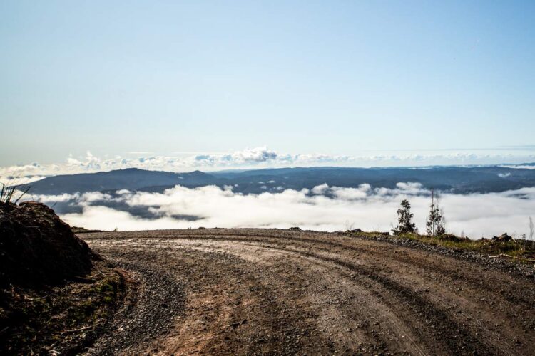 Tšiili MM-ralli 2024, Foto: M-Sport