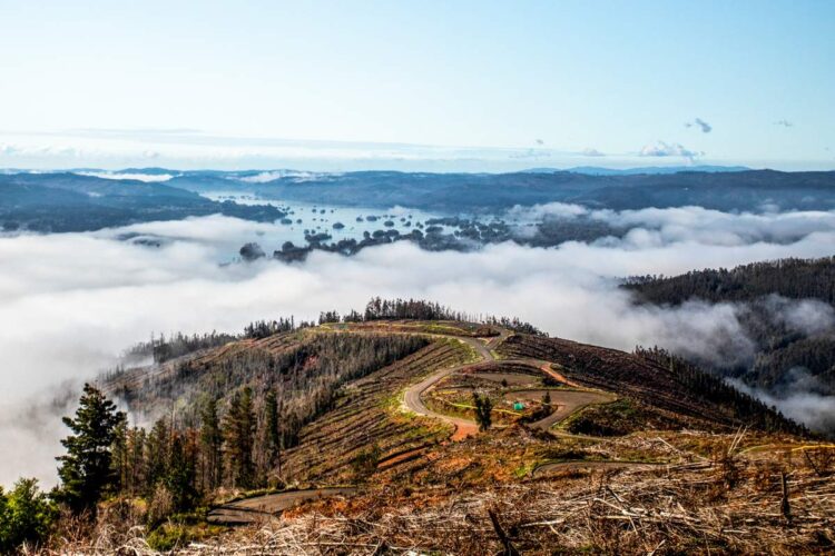 Tšiili MM-ralli 2024, Foto: M-Sport