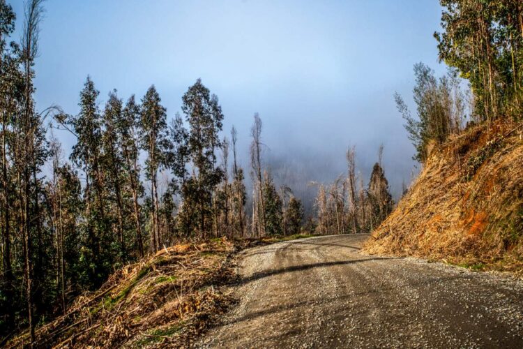 PILDID: Vaata millised olud on võistlejaid ees ootamas Tšiili MM-rallil