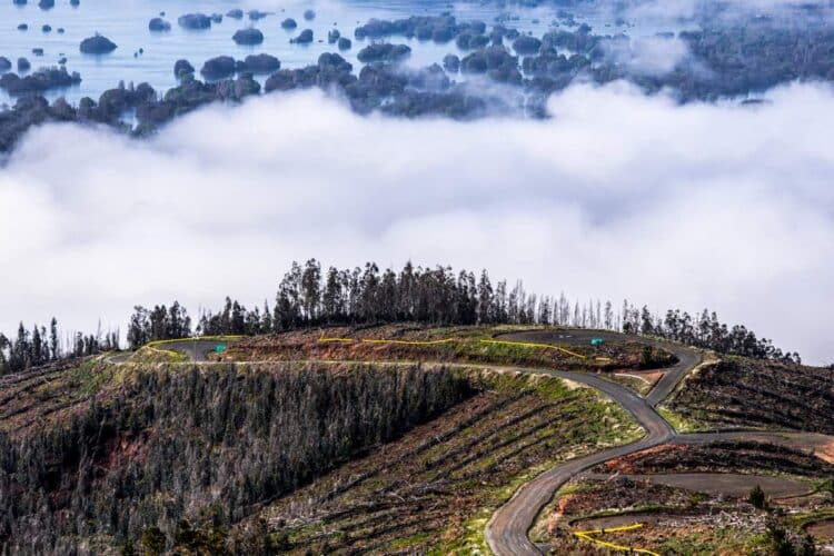 Tšiili MM-ralli 2024, Foto: M-Sport