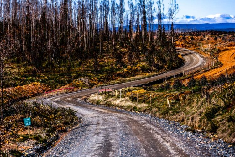 Tšiili MM-ralli 2024, Foto: M-Sport