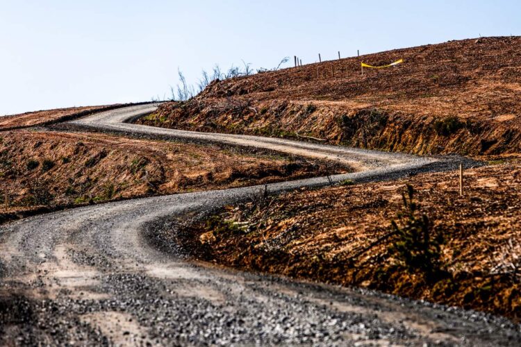 Tšiili MM-ralli 2024, Foto: M-Sport