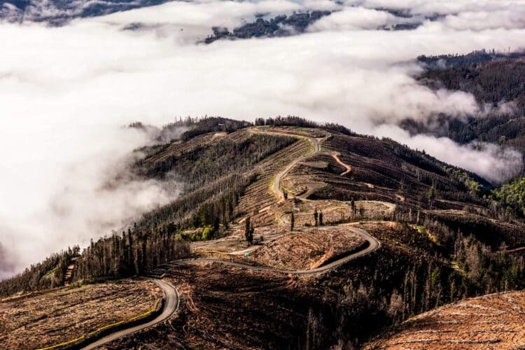 Tšiili MM-ralli 2024, Foto: M-Sport