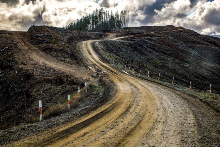 Tšiili MM-ralli 2024, Foto: M-Sport