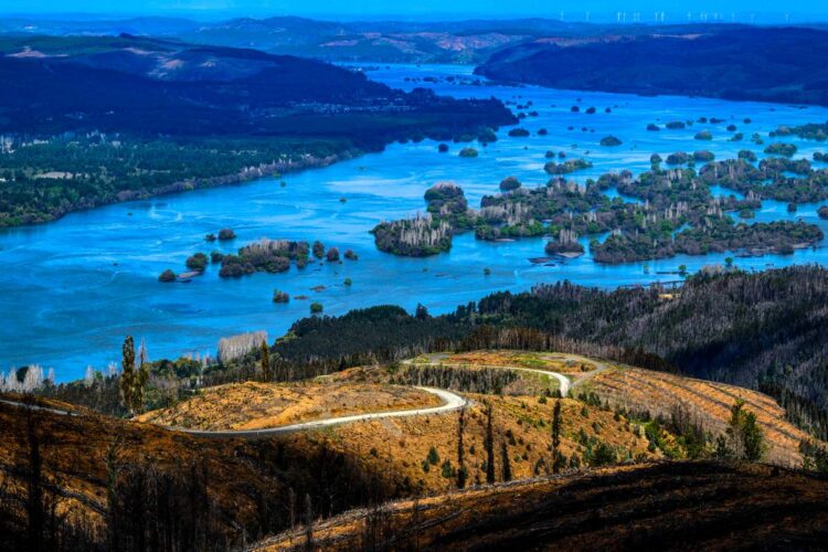 Tšiili MM-ralli 2024, Foto: M-Sport