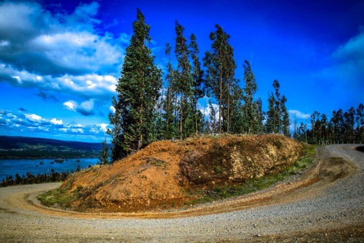 Tšiili MM-ralli 2024, Foto: M-Sport