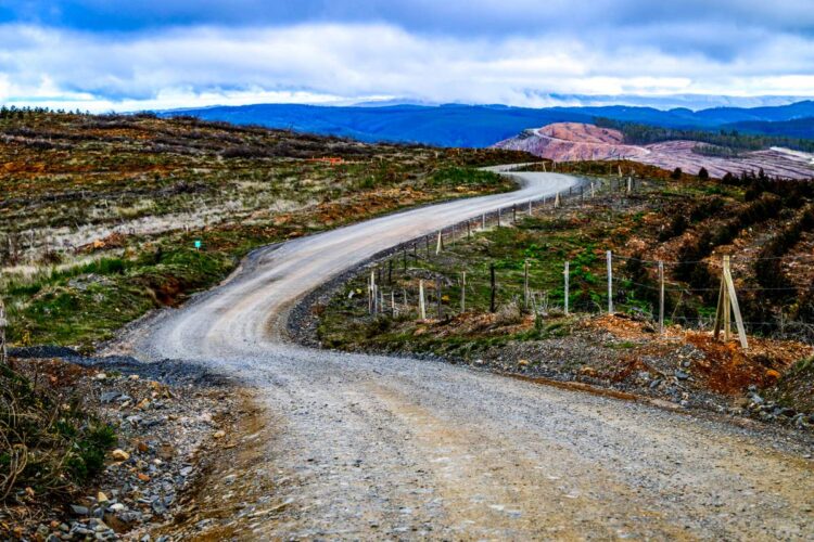 Tšiili MM-ralli 2024, Foto: M-Sport