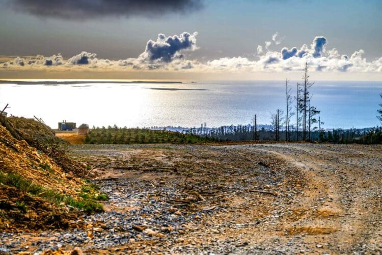 Tšiili MM-ralli 2024, Foto: M-Sport