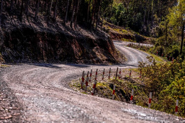 Tšiili MM-ralli 2024, Foto: M-Sport