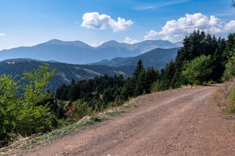 Foto: Honza Fronek, Rally-Mania