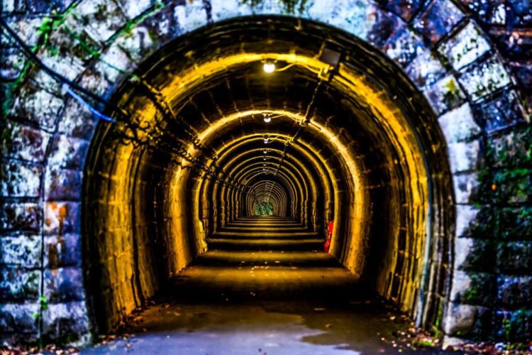 Jaapan 2024 Foto M-Sport