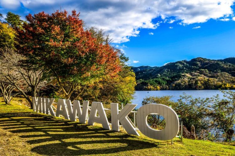 Jaapan 2024 Foto M-Sport