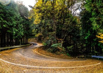 Jaapan 2024 Foto M-Sport