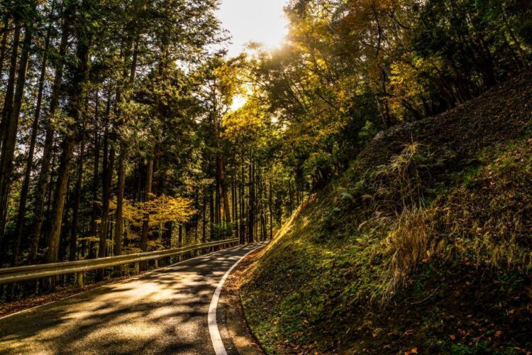 Jaapan 2024 Foto M-Sport