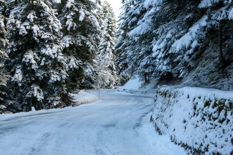 PILDID: Vaata millised olud on võistlejaid ees ootamas hooaja avaetapil Monte Carlos