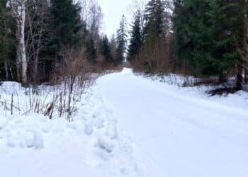 Kehalas on olud talvised. Foto: Rallirada MTÜ