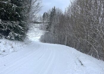 Värske pilt rajalt. Foto: korraldaja